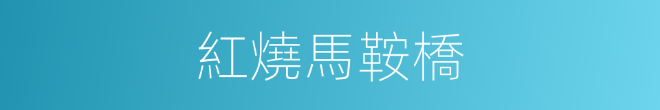 紅燒馬鞍橋的同義詞