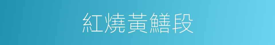 紅燒黃鱔段的同義詞