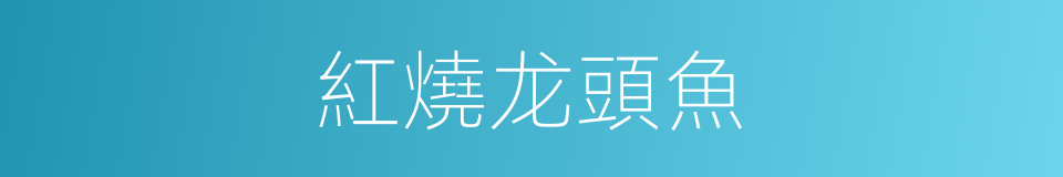 紅燒龙頭魚的同義詞