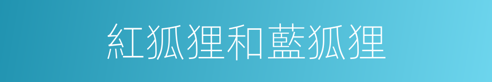 紅狐狸和藍狐狸的同義詞