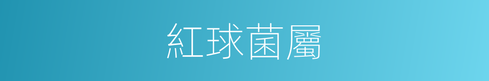 紅球菌屬的同義詞