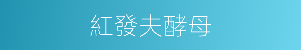 紅發夫酵母的同義詞