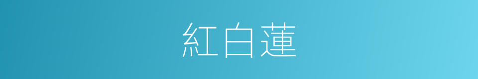 紅白蓮的同義詞
