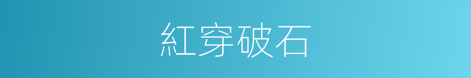 紅穿破石的同義詞