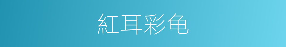 紅耳彩龟的同義詞