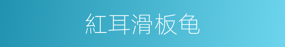 紅耳滑板龟的同義詞