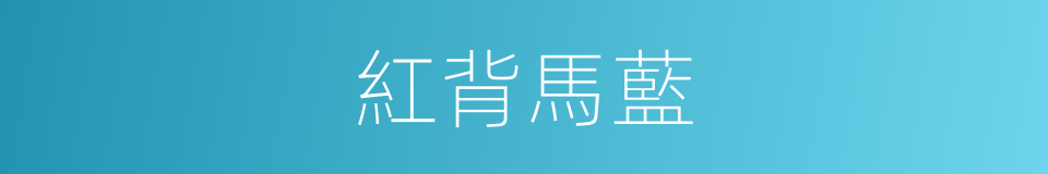 紅背馬藍的同義詞