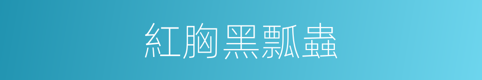 紅胸黑瓢蟲的同義詞
