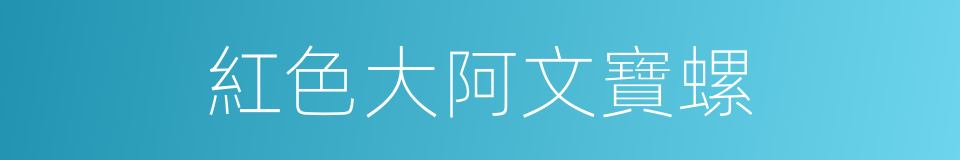 紅色大阿文寶螺的同義詞