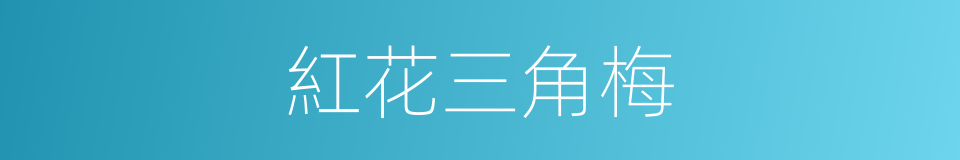 紅花三角梅的同義詞