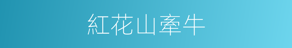 紅花山牽牛的同義詞