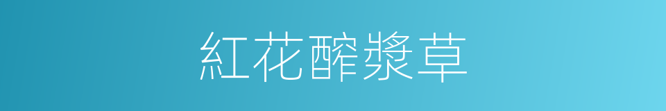 紅花醡漿草的同義詞