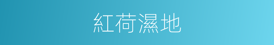 紅荷濕地的同義詞