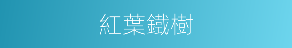 紅葉鐵樹的同義詞
