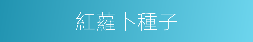 紅蘿卜種子的同義詞