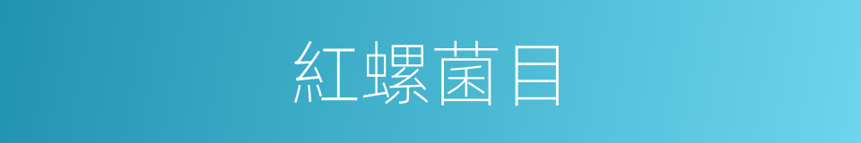 紅螺菌目的同義詞