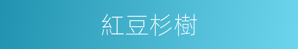 紅豆杉樹的同義詞