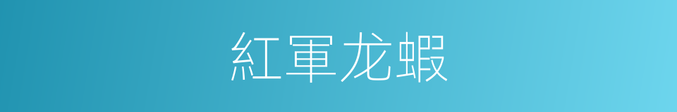 紅軍龙蝦的同義詞