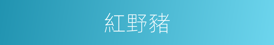 紅野豬的同義詞