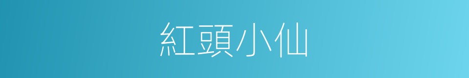 紅頭小仙的同義詞