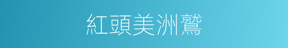 紅頭美洲鷲的同義詞