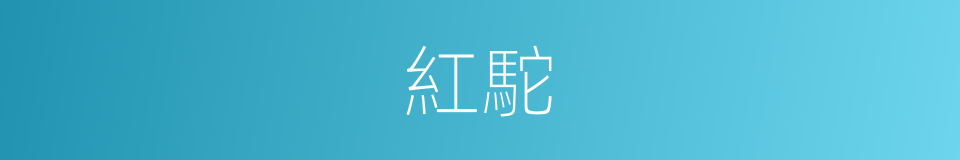 紅駝的同義詞