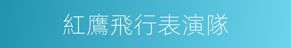 紅鷹飛行表演隊的同義詞