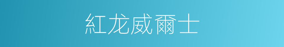 紅龙威爾士的同義詞