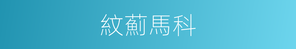 紋薊馬科的同義詞