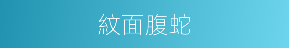 紋面腹蛇的同義詞