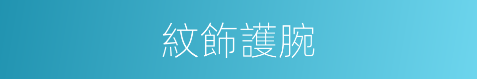 紋飾護腕的同義詞