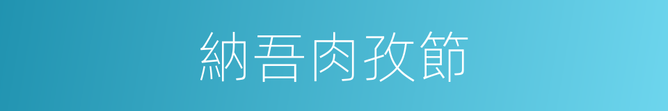納吾肉孜節的同義詞