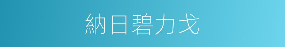 納日碧力戈的同義詞