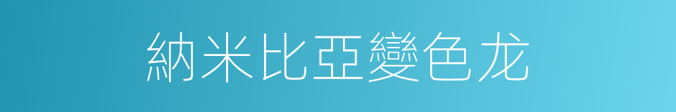 納米比亞變色龙的同義詞