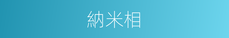 納米相的同義詞