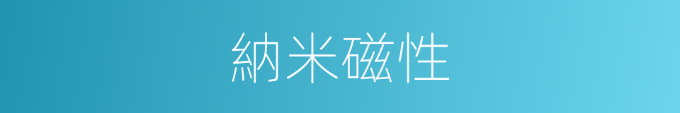 納米磁性的同義詞