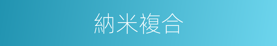 納米複合的同義詞