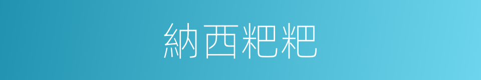 納西粑粑的同義詞