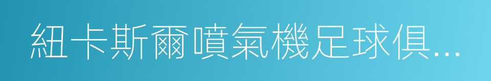 紐卡斯爾噴氣機足球俱樂部的同義詞