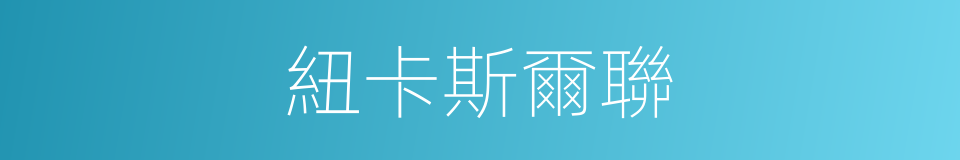 紐卡斯爾聯的同義詞