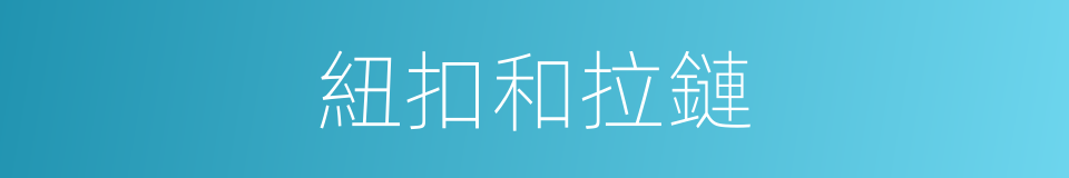 紐扣和拉鏈的同義詞