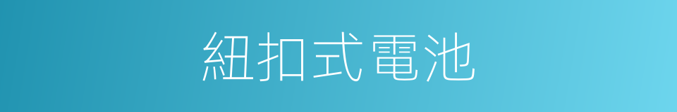 紐扣式電池的同義詞