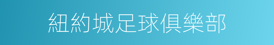 紐約城足球俱樂部的同義詞