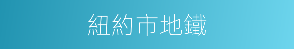 紐約市地鐵的同義詞