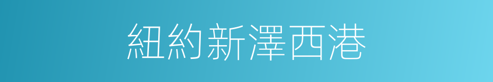 紐約新澤西港的同義詞