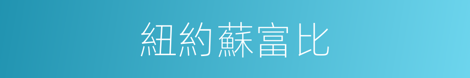 紐約蘇富比的同義詞