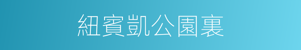 紐賓凱公園裏的同義詞