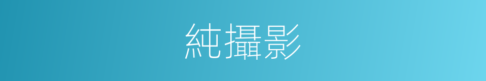 純攝影的同義詞