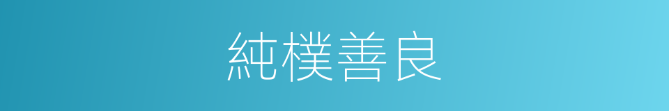 純樸善良的意思