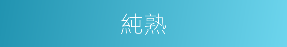 純熟的意思